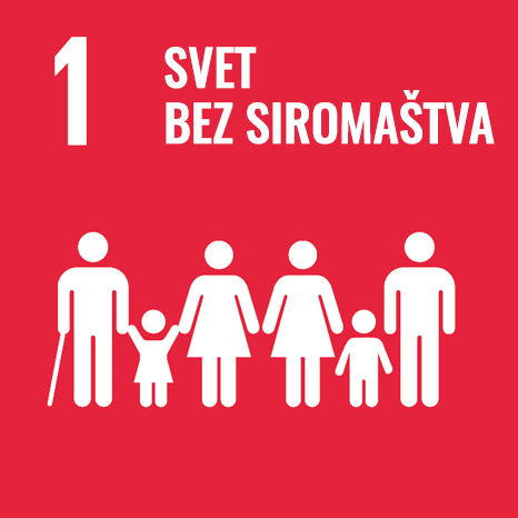 SDG 1