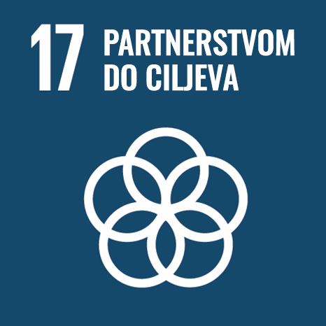SDG 17